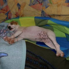 DSC01200 