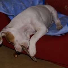 DSC01349 