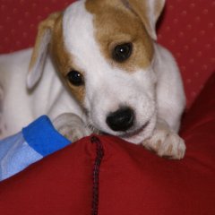 DSC01351 