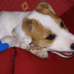 DSC01354 