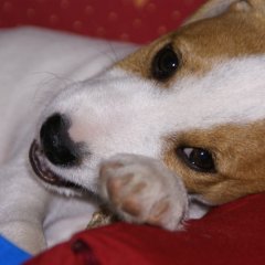 DSC01357 