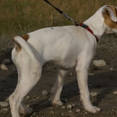 DSC02388 