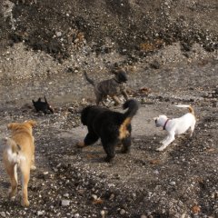 DSC02466 