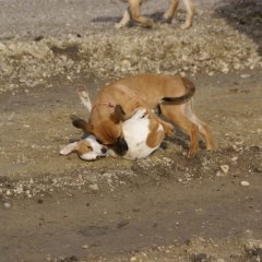 DSC02482 