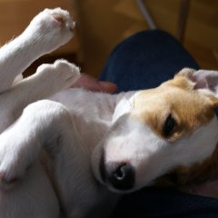 DSC01004 
